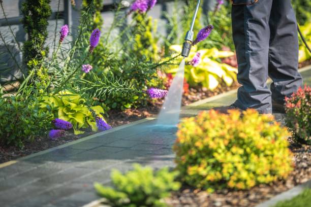 Best Gutter Cleaning  in Lakeland South, WA
